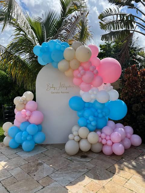 Gender Reveal Decorations